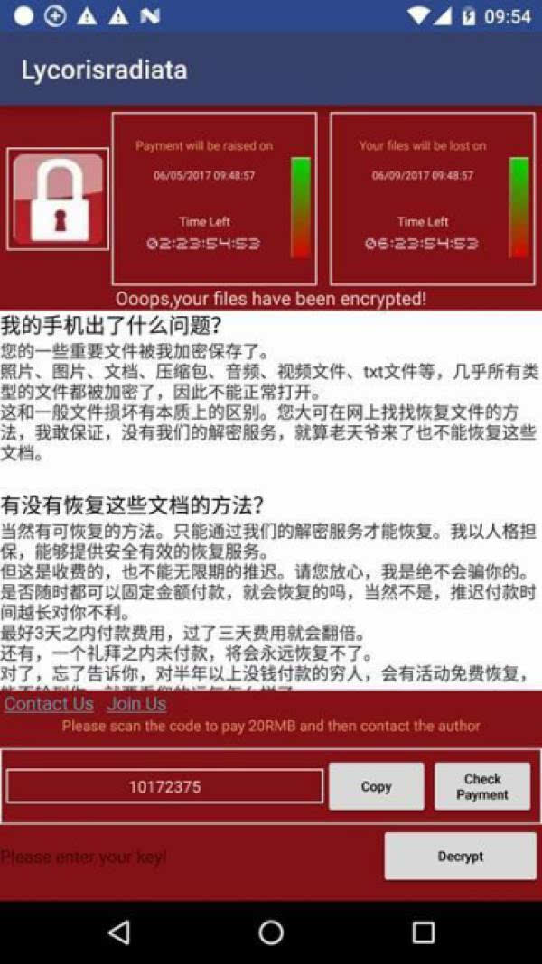 关于2025年全面公中落实正版资料免费共享的全面释义与解释