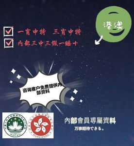 澳门和香港一肖一码一一特一中厂i精选解析，解析落实与深度探索