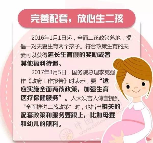 澳门与香港管家婆的精准性，全面释义、解释与落实