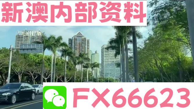 关于新澳精准免费资料大全的全面释义与解释——探索未来的蓝图（面向2025年）