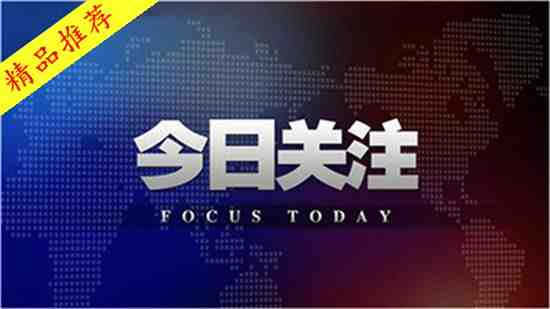 澳门精准正版免费解析与落实，精选策略与深入解释