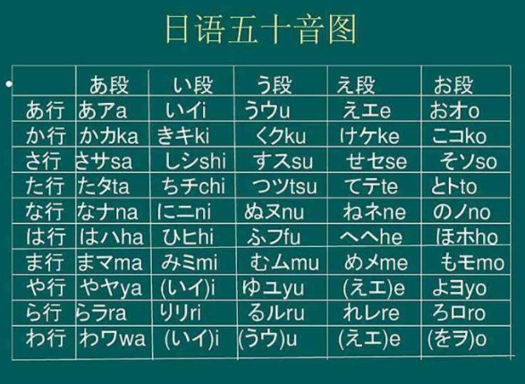 新奥正版免费资料大全，全面释义、解释与落实